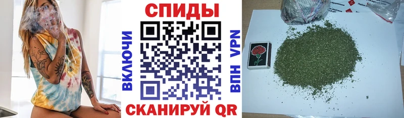 Купить где  Камышин  Бутират Butirat 