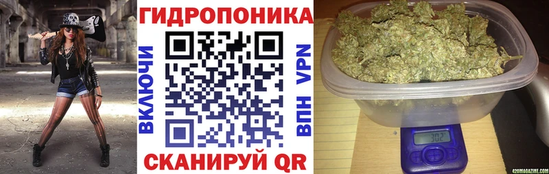 Бошки марихуана планчик  Купить  Камышин 